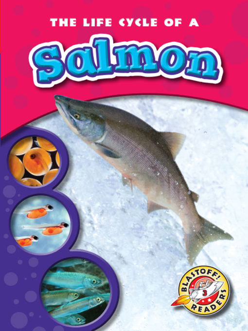 Title details for The Life Cycle of a Salmon by Mandy Kaplan - Wait list